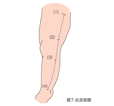 図7.右足前面
